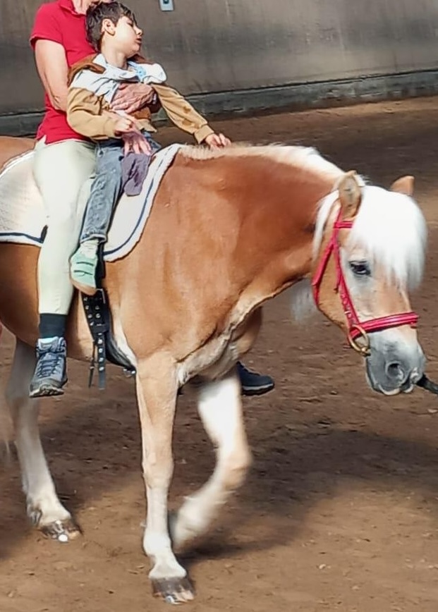 Pferd bearbeitet2